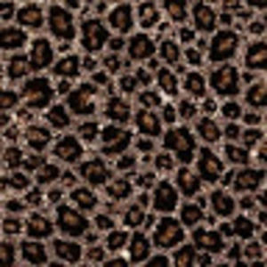 Meet your Posher, Jules